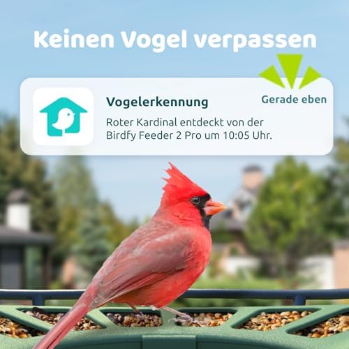 Birdfy 2 Pro Vogelfutterhaus - Live Vogelbeobachtung, Solarbetrieb und Zeitlupenvideo - Global Recycled Standard